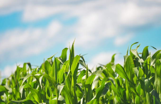 stokpic.com stokpic.com