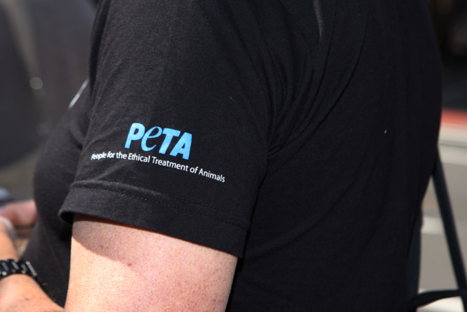 Peta