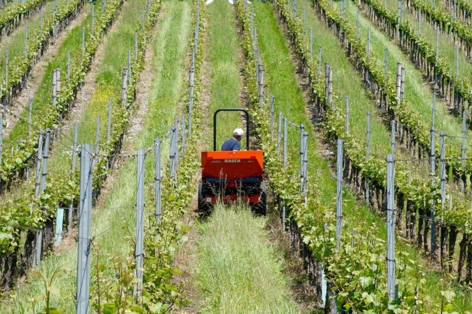 A tough year for European agriculture