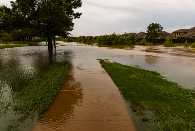 Brant Kelly Brant Kelly