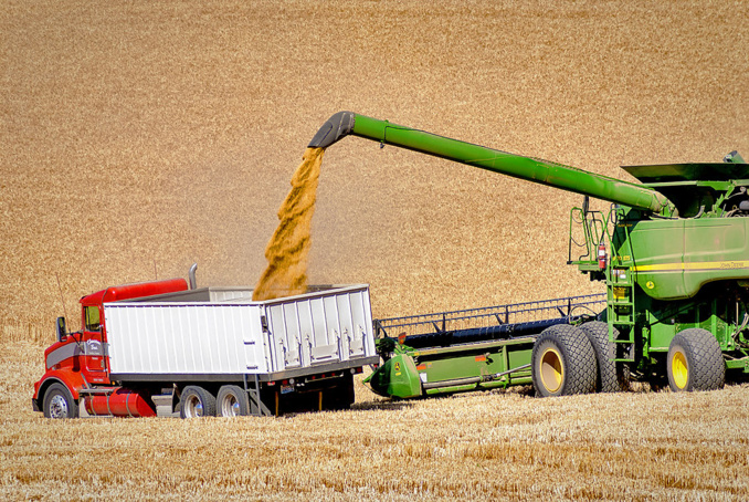 Charles Knowles Charles Knowles