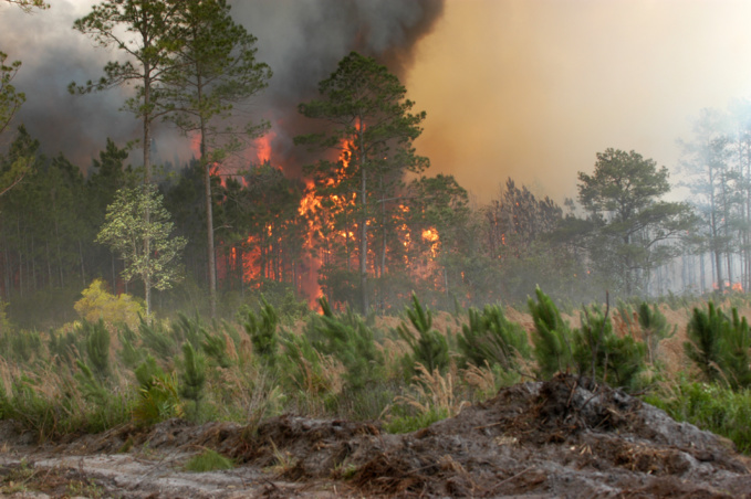 Mark Wolfe/FEMA
