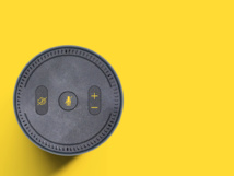 Your customers use VA's, ADAPT now! Your customers use VA's, ADAPT now!