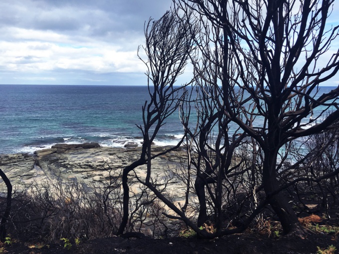 needpix.com needpix.com