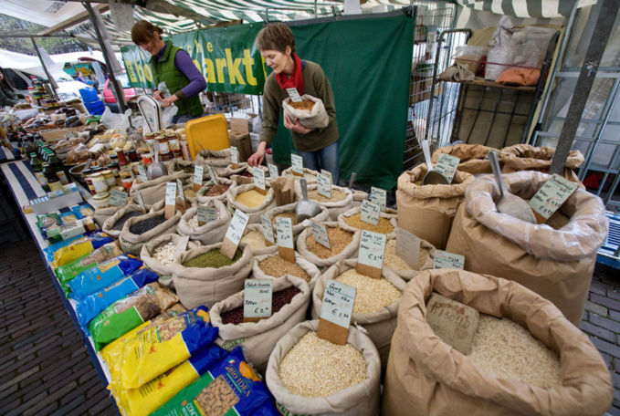 Jorge Royan Jorge Royan