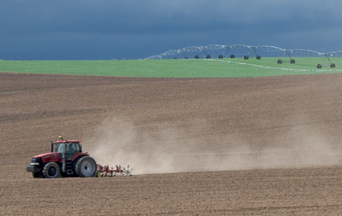 Samuel M Beebe Samuel M Beebe