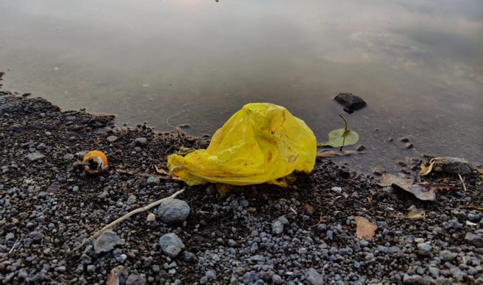 PixaHive.com PixaHive.com