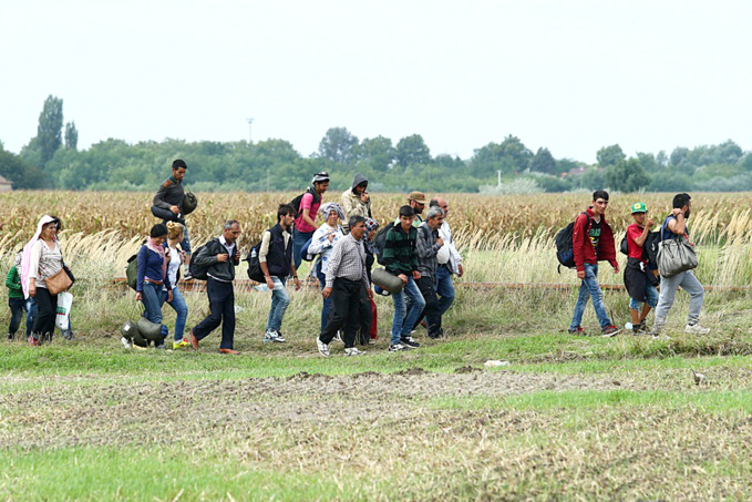 Gémes Sándor/SzomSzed