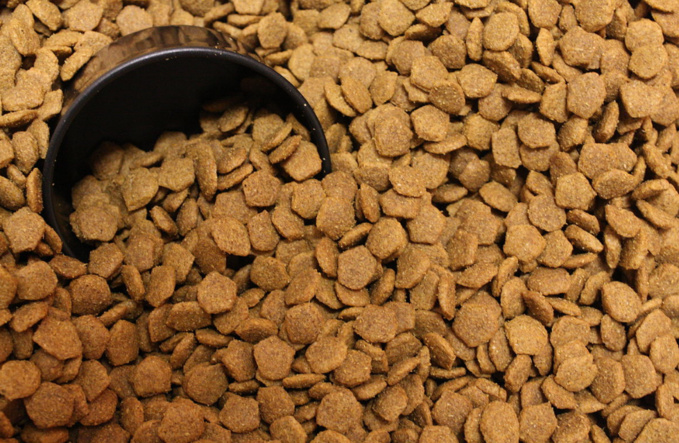 Anne Hornyak Anne Hornyak