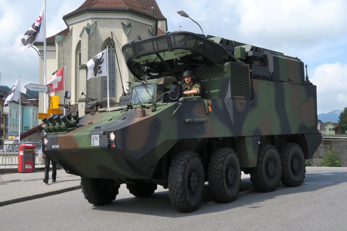 The Swiss army: a truly effective oddity