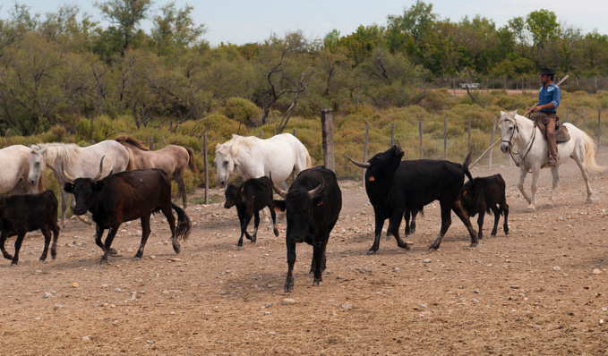 Michal Osmenda Michal Osmenda