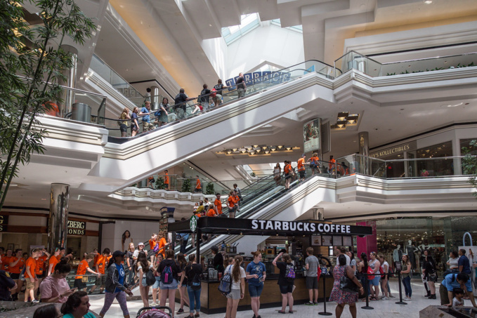 Mobilus In Mobili Mobilus In Mobili