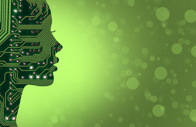 publicdomainpictures publicdomainpictures