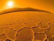 A Home Away From Home Or A New Culture - What Awaits For The Martian Colonists?