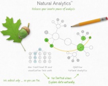 Qlik: A Pioneer In Data Discovery To Face A Tough Competition Qlik: A Pioneer In Data Discovery To Face A Tough Competition