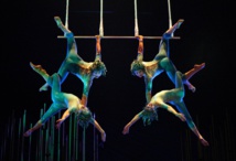 Sun King and his Circus: Cirque du Soleil's Story of Success