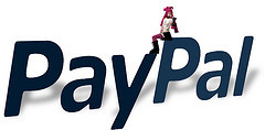 Paypal to go public in 2015 third quarter