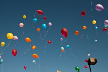 www.freestockphotos.biz