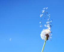 nerdegutt via flickr nerdegutt via flickr