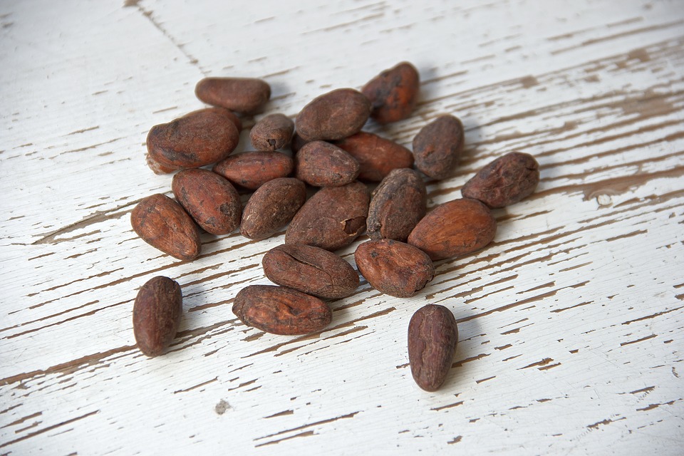 Bad weather cut down cocoa beans deliveries in 2016