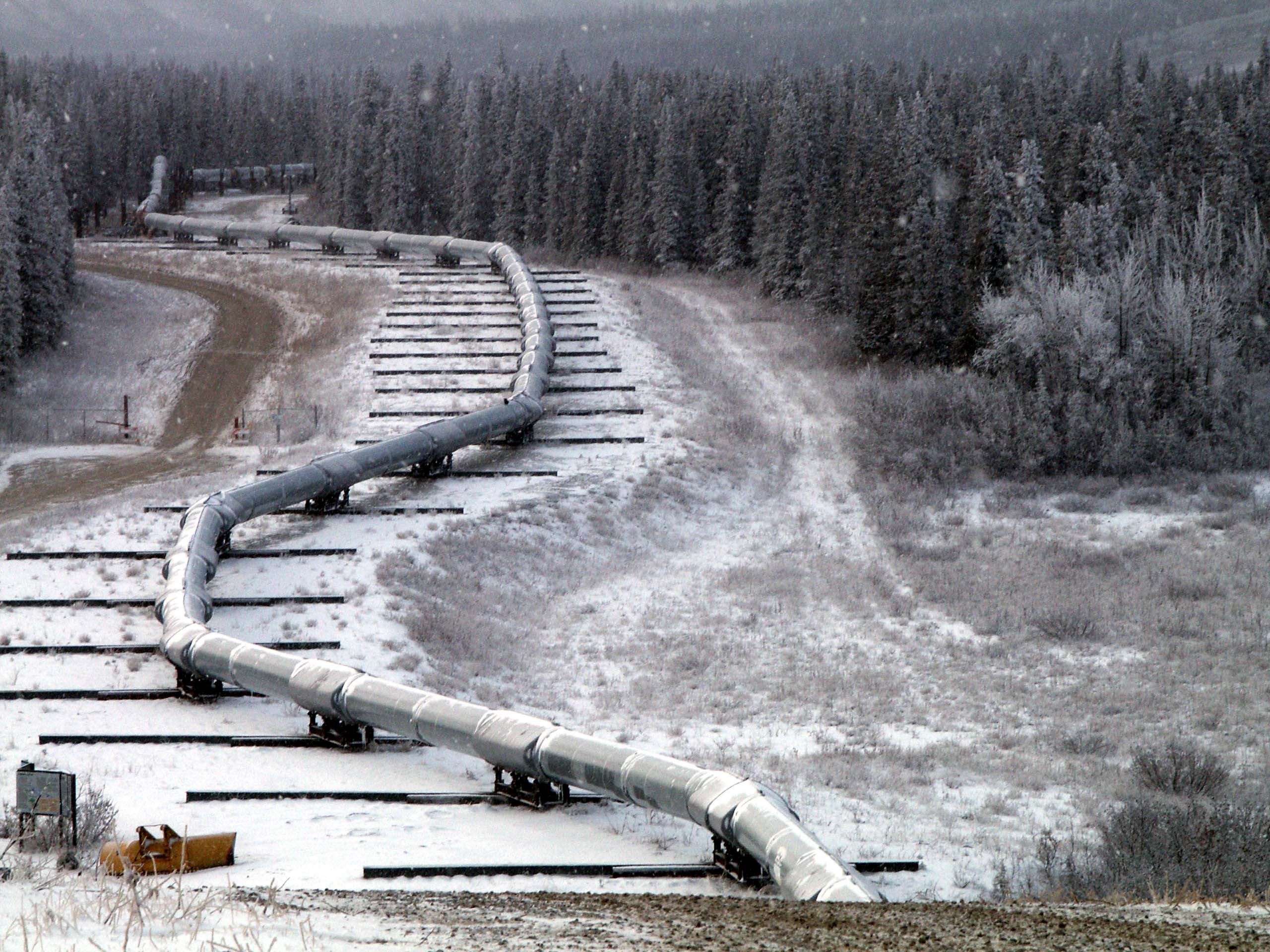 Environmentalists blocked export of oil from Canada to the US
