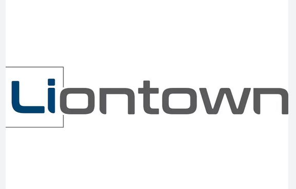 Australia's richest woman increases stake in lithium producer Liontown