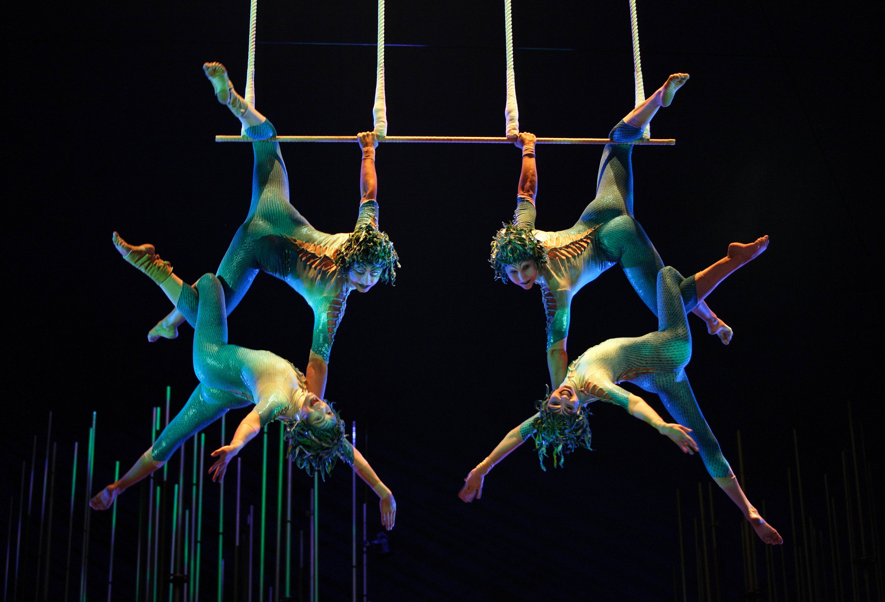 Sun King and his Circus: Cirque du Soleil's Story of Success