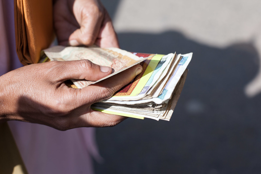 Lauren Serota Lauren Serota