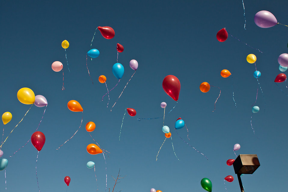 www.freestockphotos.biz