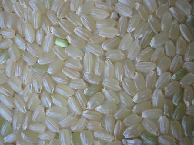 Plastic Rice is Found in China