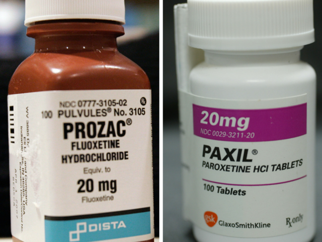 The intake of Prozac and Paxil may lead to birth defects