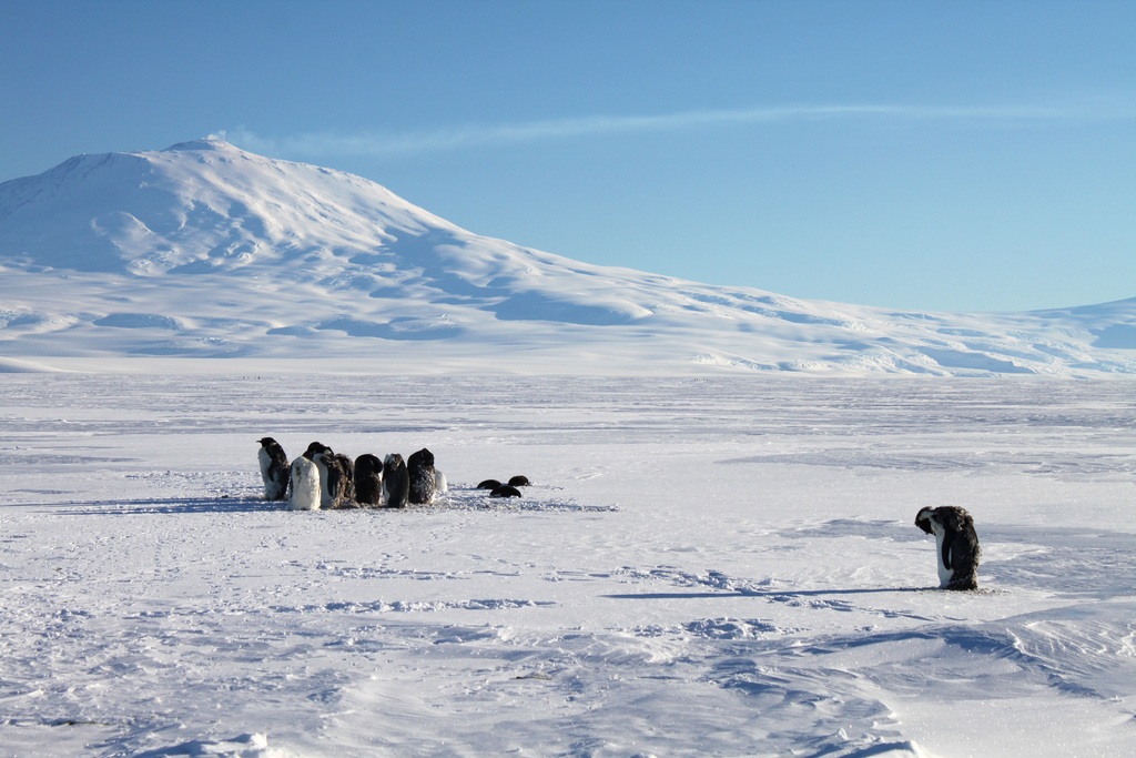 Eli Duke via flickr Eli Duke via flickr