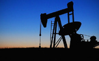 BofA analyst: Saudi Arabia starts price war for oil market share