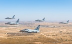 Israeli Defence Forces