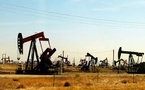 Seven OPEC+ countries agree to increase oil production by 188,000 barrels per day