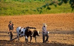 FT: Cuban farmers are selling land en masse due to fuel shortages