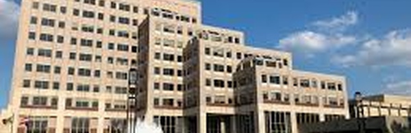 AI biotech Insilico Medicine signs $2.75 billion agreement with Eli Lilly