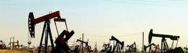 Seven OPEC+ countries agree to increase oil production by 188,000 barrels per day