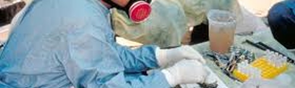 12 healthcare workers in the Netherlands quarantined due to errors in handling hantavirus