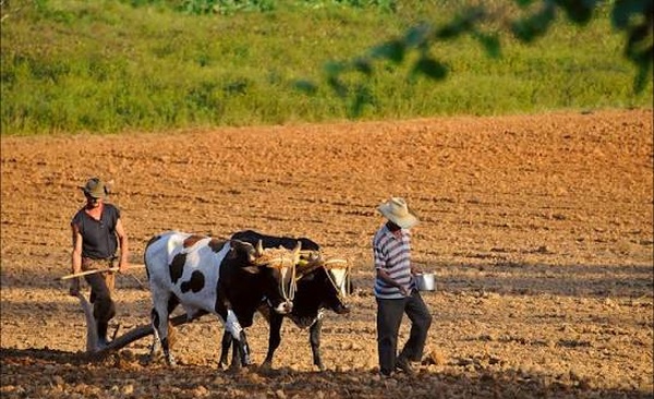 FT: Cuban farmers are selling land en masse due to fuel shortages