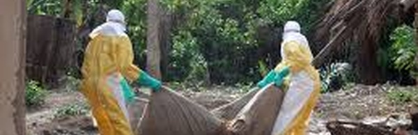 Current Ebola epidemic could become largest in history