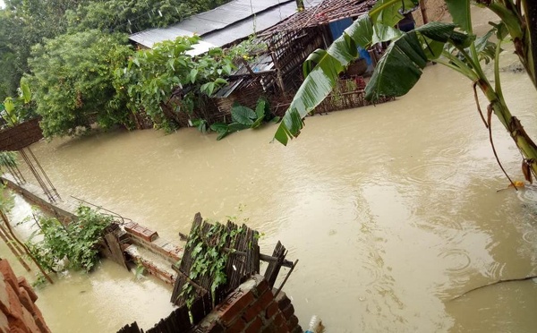 Nepal's flood death toll exceeds 900