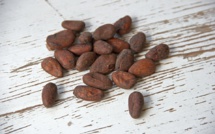 Bad weather cut down cocoa beans deliveries in 2016