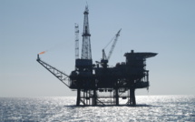 BP acquired Mauritania and Senegal assets for $ 900 million