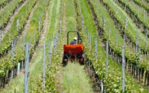 A tough year for European agriculture