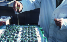 Five biotech developments that came too early