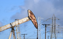 Argentine Tecpetrol to pump $ 2.5 billion into shale deposits