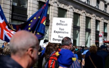 The UK is ready for an interim customs union with the EU