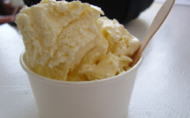Worldwide vanilla deficit jeopardizes ice cream production 