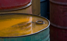 U.S. shale oil production is predicted to grow during 20 years